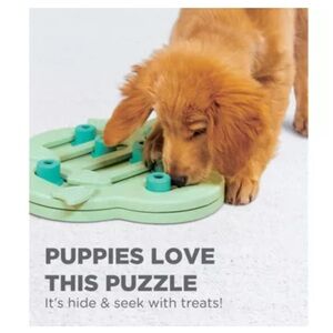 Outward Hound Green Puppy Puzzle Toy